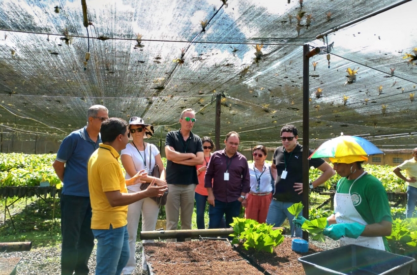 Biofábrica (4).jpeg