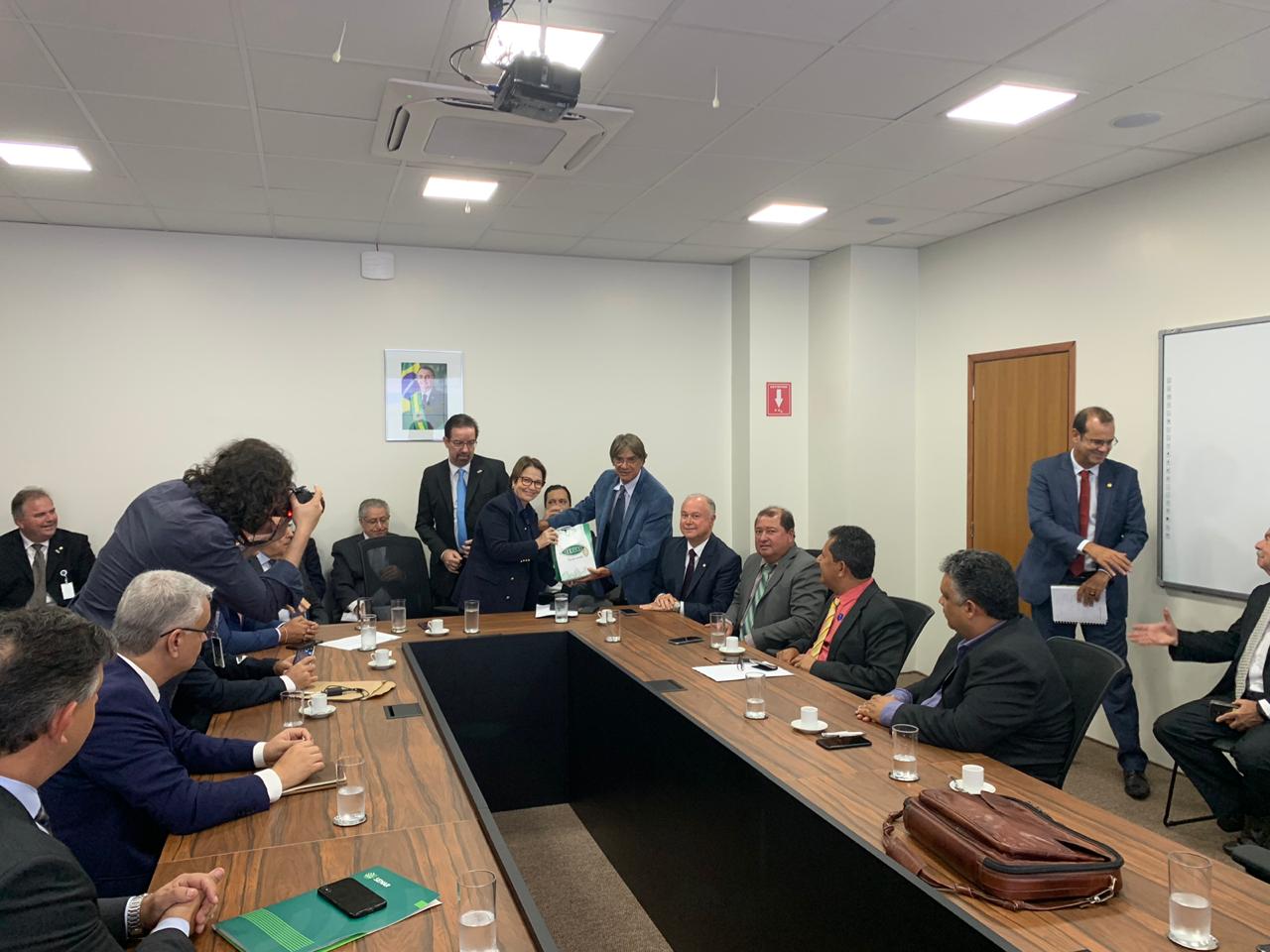 REUNIÃO EM BRASÍLIA COM PREFEITOS DEPUTADOS, SENADORES E A MINISTRA DA AGRICULTURA (7).jpeg