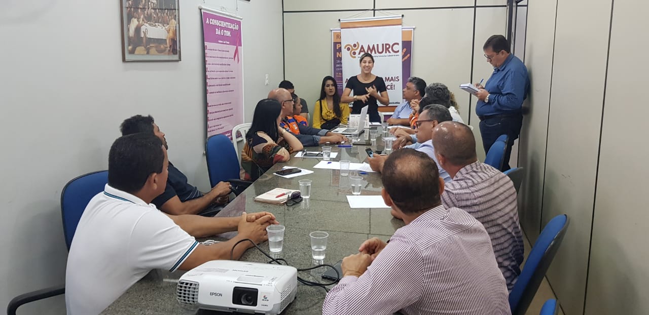 Reunião dcom instituições e representantes municipais sobre medidas adotadas  diante do aparecimento de óleo nas praias do Sul e Baixo Sul Baiano ( (15).jpeg