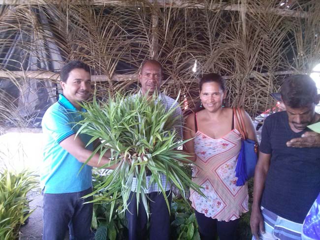 3fb4506b 9295 4db8 9502 c34c389a84ff