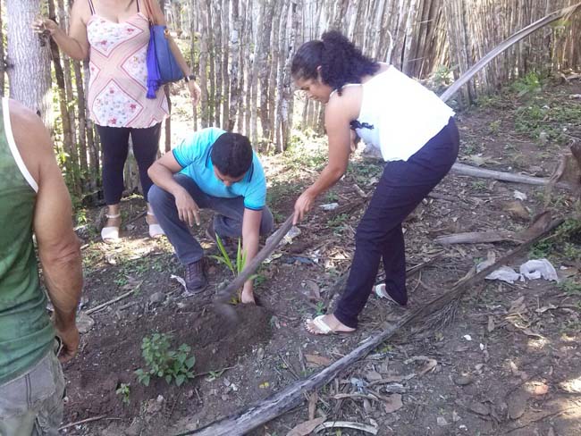 74dcf0ee 0d0b 41ae 9a32 04f086591724